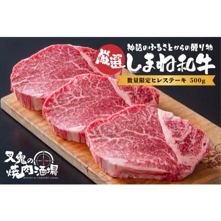 ふるさと納税 ヒレステーキ（500g） 23050-01 島根県松江市