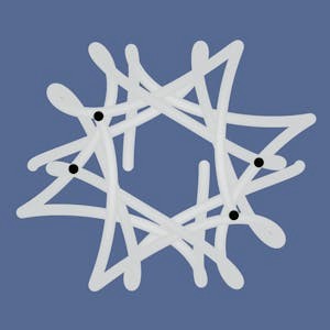 Computer Science:  Algorithms, Theory, and Machines