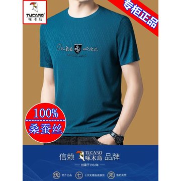 啄木鳥冰絲短袖t恤男士2024新款時尚圓領半袖夏季桑蠶絲上衣男潮T