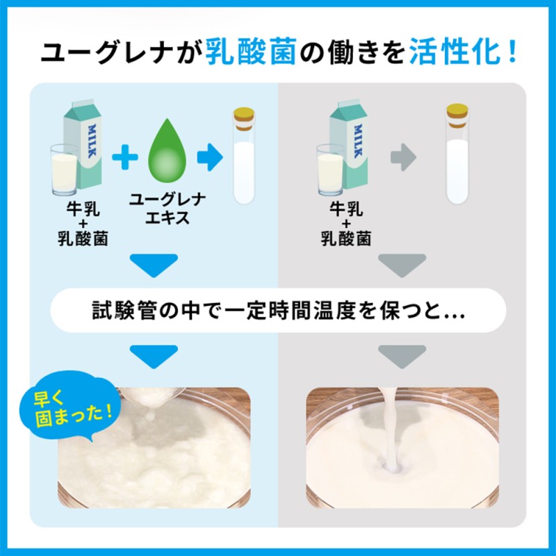 公式】 からだにユーグレナ Green Tablet 乳酸菌 粒タイプ 120粒入り 2