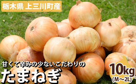 栃木県産 たまねぎ 10kg ※2024年5月より順次発送予定 ※離島への配送不可 ※着日指定不可