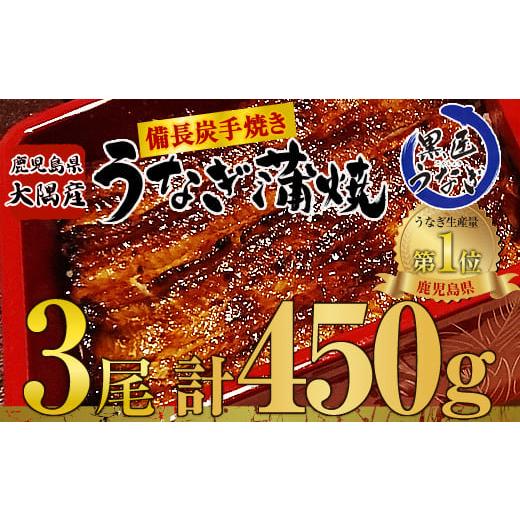 ふるさと納税 鹿児島県 鹿屋市 1635 鹿児島県大隅産 備長炭手焼黒匠うなぎの蒲焼　３尾セット　計450g