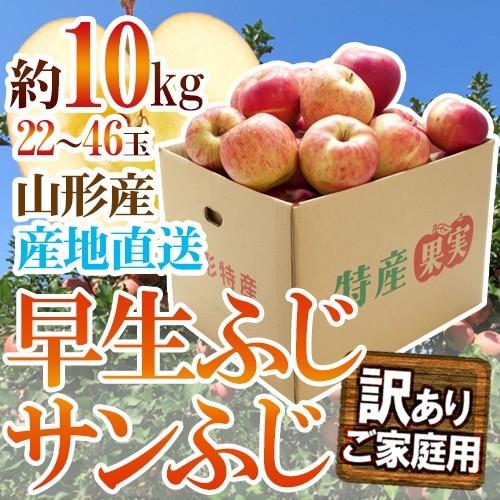 山形県産 ”サンふじりんご 訳あり 約10kg（風袋込）” 送料無料