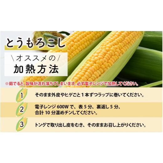 ふるさと納税 福井県 あわら市 春とうもろこし 10本 おおもの 黄色 朝採り ／ 期間限定 数量限定 ハウス栽培 産地直送 甘い スイートコーン とう…