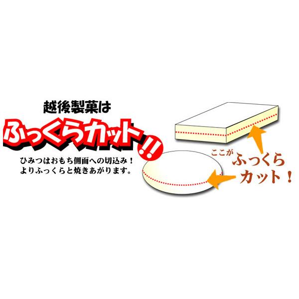 越後製菓　越後生一番　魚沼産こがね餅(切り餅個包装)400g×10入(箱)