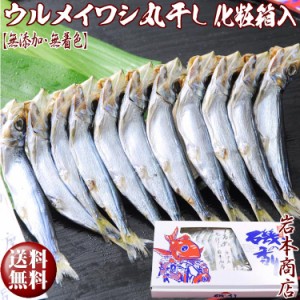  ウルメイワシ丸干し(メザシ) ギフト用化粧箱入 お酒の肴に 朝食に 噛めば噛む程旨味溢れる 厳選