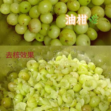 油柑去核器玉油柑汁制作工具304不銹鋼 手作去壓油甘果核神器檸檬