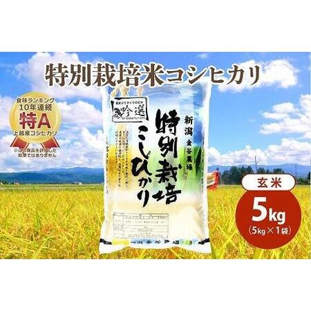 ふるさと納税 令和5年産|新潟上越三和産|特別栽培米コシヒカリ(従来種)5kg(5kg×1)玄米 新潟県上越市