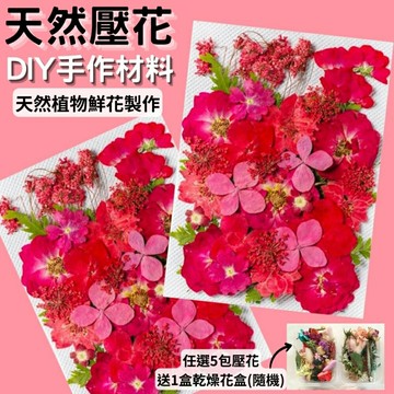 【A-ONE】 紅色花材包 真花壓花 永生花 綠葉材料包 DIY書籤 乾燥花 植物標本