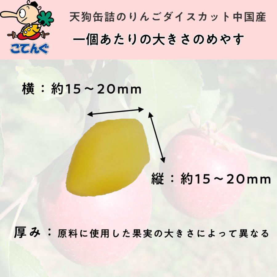 りんご 缶詰 中国産 ダイス 1号缶 固形1,750g バラ売り 天狗缶詰 業務用 食品