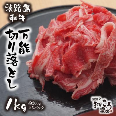 ふるさと納税 淡路市 淡路島和牛 万能切り落とし 1kg (200g×5パック)