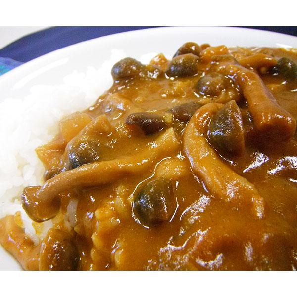 信大きのこカレー・信大きのこハヤシ 8袋入り(各200g 4袋セット) 送料込(沖縄別途240円)