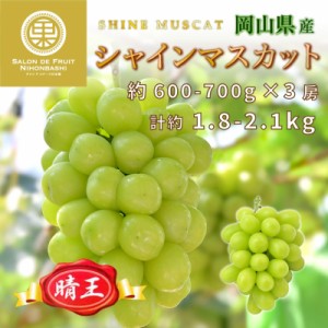 [最短順次発送]  シャインマスカット 晴王 計約1.8kg 約600-700g×3 岡山県産 大粒 はれおう マスカット 高糖度 果実 夏ギフト 夏ギフト