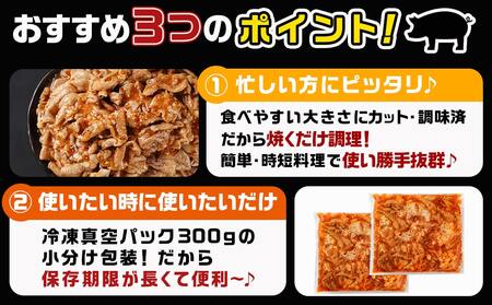 やみつき豚ホルモン!3kg!真空小分けパック!_AA-3307_(都城市) 国産豚 ホルモン 味付き 300g×10P 3kg 小分け 真空パック