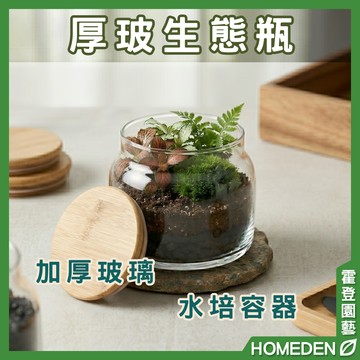【隔日到貨】厚玻生態瓶 加厚款 生態缸 室內植物 玻璃花瓶 微景觀 魚菜共生 水耕瓶 園藝用品【HOMEDEN霍登園藝】