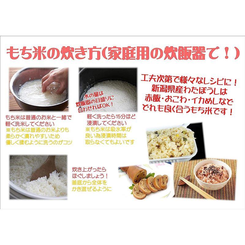 新潟県産 もち米 わたぼうし 5kg 令和3年産 令和4年産