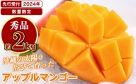 アップルマンゴー 秀品 南城市 約2kg (3～5玉)