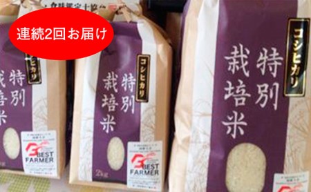 加賀百万石特別栽培米コシヒカリ「白米」10kg2ヶ月連続お届け