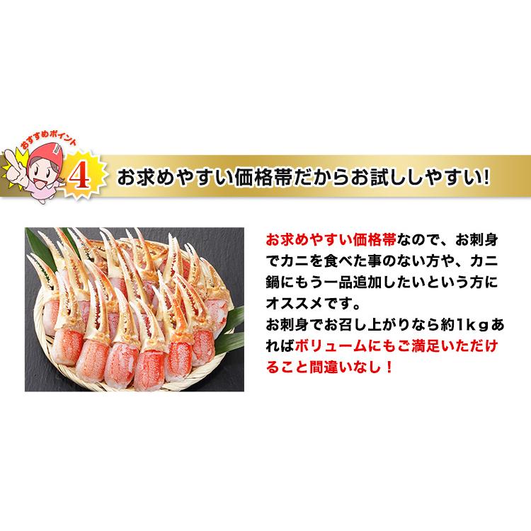 かに カニ 蟹 ズワイガニ 爪むき身 刺身 かにしゃぶ |超特大10L〜8L生ずわい爪むき身15本〜22本(約1kg)