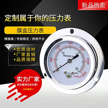 軸向帶邊膜盒壓力表YE60ZT 不銹鋼微壓表KPa面板安裝燃氣表千帕表