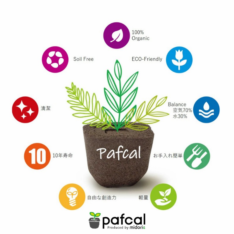 当店限定 大きく育てるシリーズ ぐんぐんセット 観葉植物 専用 ミニパフカルｘ3号パフカル 5個セット 通販 Lineポイント最大5 0 Get Lineショッピング