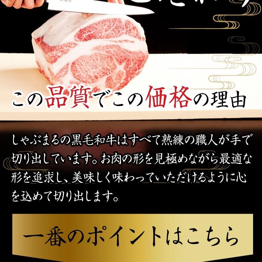 牛肉 肉 特松 福袋 黒毛和牛 A4 A5等級のみ使用 1.6kg 凍眠 テクニカン 肉の福袋 3種 超豪華福袋セット お歳暮 ギフト 食品 お祝い