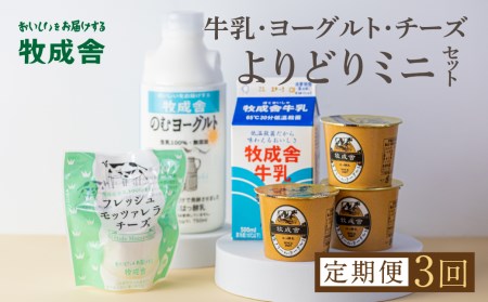 乳製品 定期便 3回＜牧成舎＞牛乳 ヨーグルト チーズ よりどりミニセット 4種 飛騨産生乳で作ったこだわりの乳製品セット 単身用 一人暮らし 2人暮らし ギフト まとめ買い [Q1940]