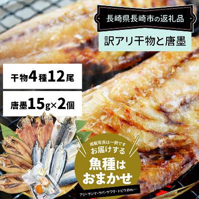 ふるさと納税 長崎市 　訳ありおまかせ干物　4種類(12枚) とカラスミ詰め合わせ