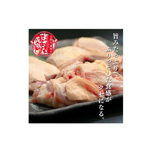 ふるさと納税 高知県 大月町 よさこい尾鶏 もも肉（200g×5パック）計6回