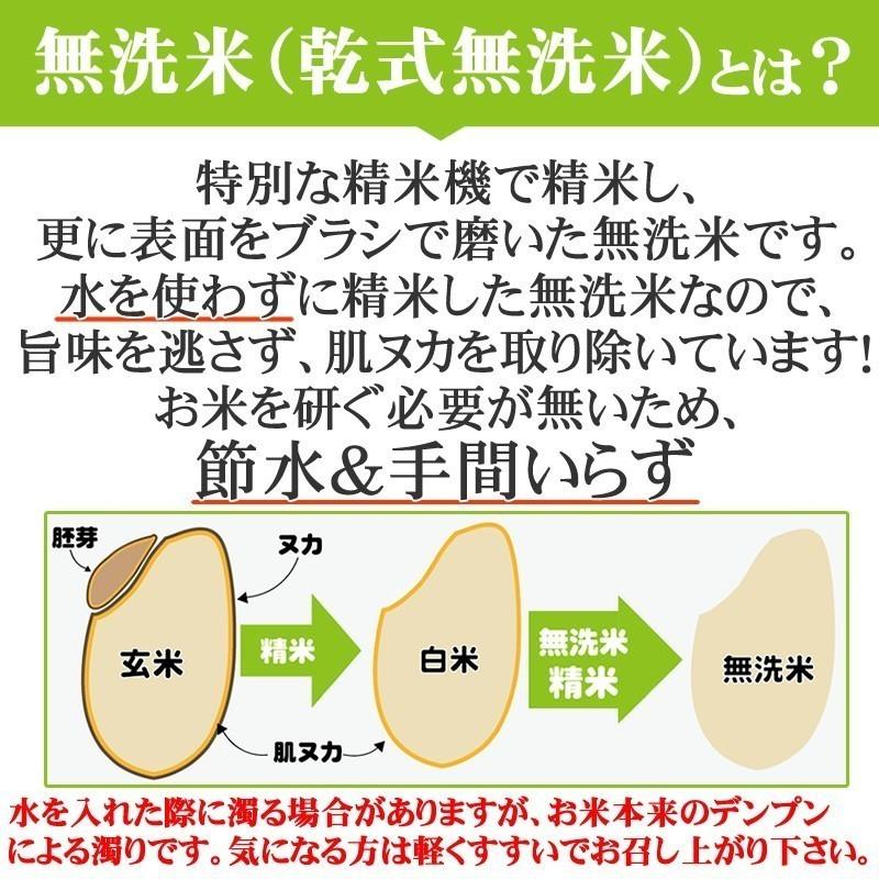 新米 米 お米 10kg 銀河のしずく 玄米10kg 令和5年産 岩手県産 白米・無洗米・分づきにお好み精米 送料無料 当日精米