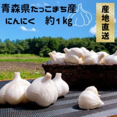 ML size『1kg』