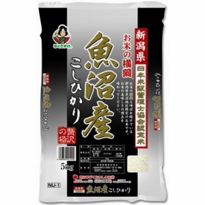 令和4年産 米の横綱(国産)(5kg)[精米]