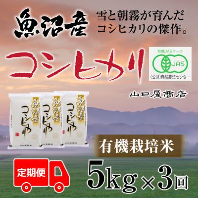 ふるさと納税 十日町市 　“有機栽培米”　魚沼産コシヒカリ　5kg　全3回