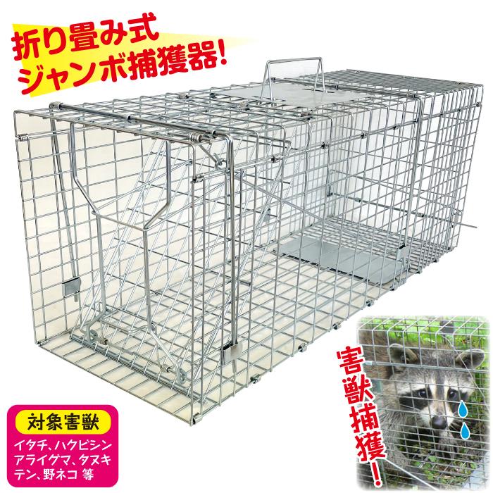 罠 トラップ 動物捕獲用罠 折り畳み式 ジャンボ捕獲器 家畜被害 害獣 イタチ ハクビシン アライグマ タヌキ テン 野ネコ 捕獲器 大型