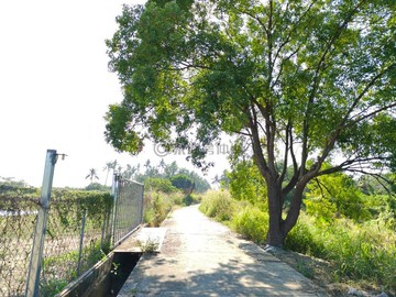 橋頭區新市鎮特定計畫區增值農地70363｜高雄市橋頭區中峰段