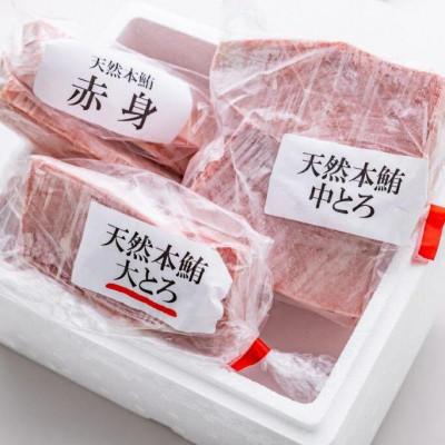 ふるさと納税 静岡市 極寒天然本鮪味わいセット(大とろ約250g・中とろ約500g・赤身約250g)