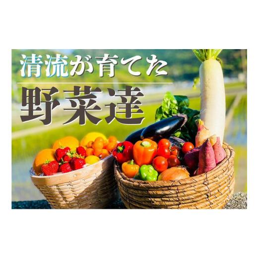 ふるさと納税 高知県 高知市 高知の新鮮野菜セット／旬の野菜を味わう6ヵ月便