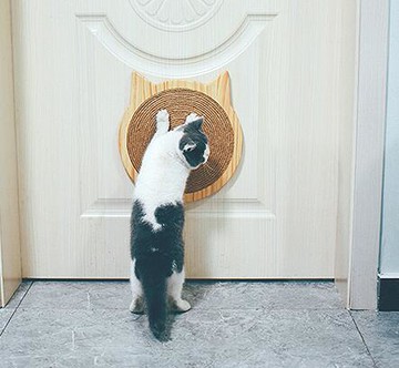 喵仙兒貓抓板立式劍麻磨爪器護沙發不掉屑貓玩具吸盤式麻繩貓爪板 99購物節