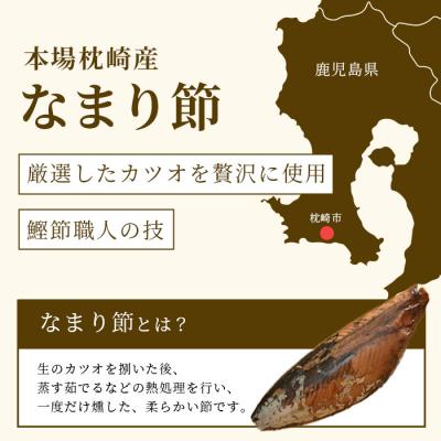 ふるさと納税 枕崎市 本場枕崎産 なまり節  8本 味付節BB-264