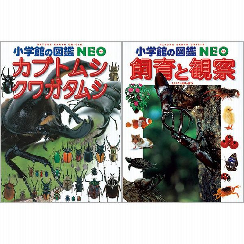 【5冊セット】小学館 図鑑NEO 恐竜 危険生物 乗りもの 岩石鉱物 カブトムシ