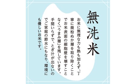 [令和5年産]雪室貯蔵　魚沼産コシヒカリ無洗米2.5kg