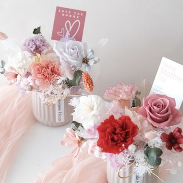 | 永生康乃馨盆花 | 母親節盆花