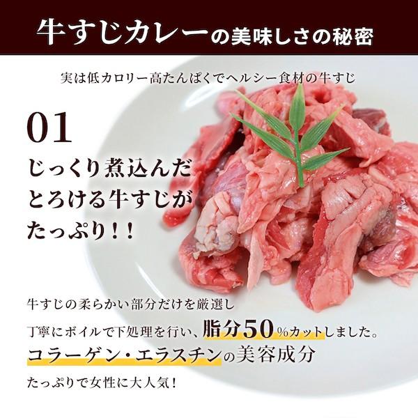 カレー レトルト 牛すじ ビーフカレー 中辛 国産 コラーゲン 送料無料 博多 長期保存 レトルトカレー レトルト食品 グルメ 牛すじカレー 200g×2パック メール便