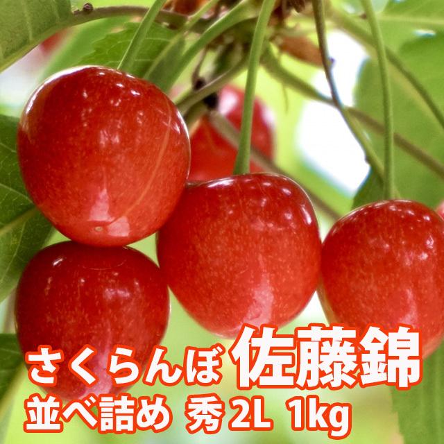 さくらんぼ 佐藤錦 送料無料 サクランボ 山形 秀２Ｌ (S-003)バラ詰め １kg 父の日 佐藤N 山形産 農家直送