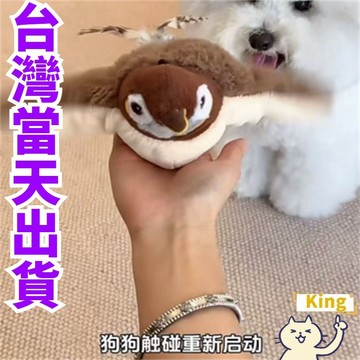 【台灣出貨】抖抖鳥 電動抖抖鳥 逗貓鳥 電動鳥 小鳥貓咪鳥鳥玩具 會飛的小鳥 貓玩鳥 會飛的鳥 智能逗貓 貓咪小鳥玩具