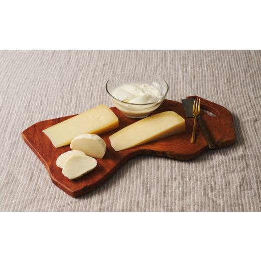 ふるさと納税 佐賀県 神埼市 ミルン牧場のチーズ・ヨーグルト詰め合わせ(H102107)