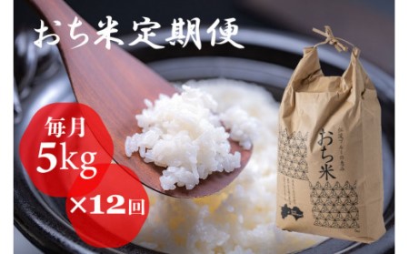 （新米）「おち米」定期便　(5kg × 12回)　産直　白米