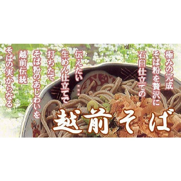 業務用 越前そば 半生麺 福井県 越前そば ５０食分 麺つゆなし 蕎麦のみ 卸値 卸 卸価格 福井 越前そば 通販 半生めん 越前そば 越前蕎麦