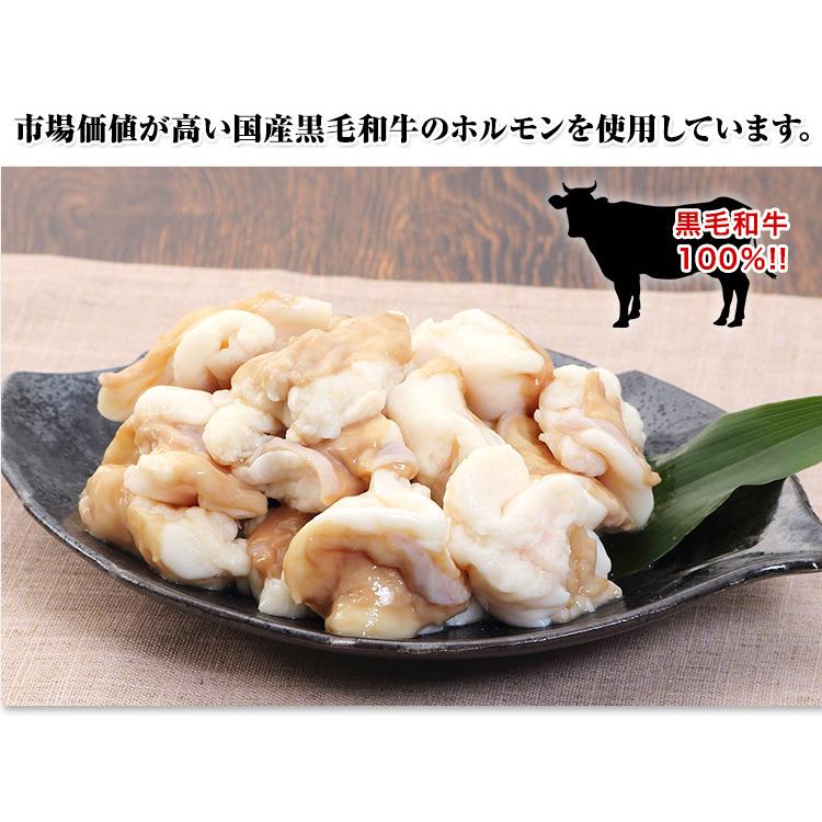 黒毛和牛大トロもつ鍋セット 約500g （特製スープ付）