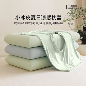 🛒臺灣24h🌳夏季冰絲冷感枕套一對裝2026新款記憶枕頭套單個萬能枕芯內膽套巾